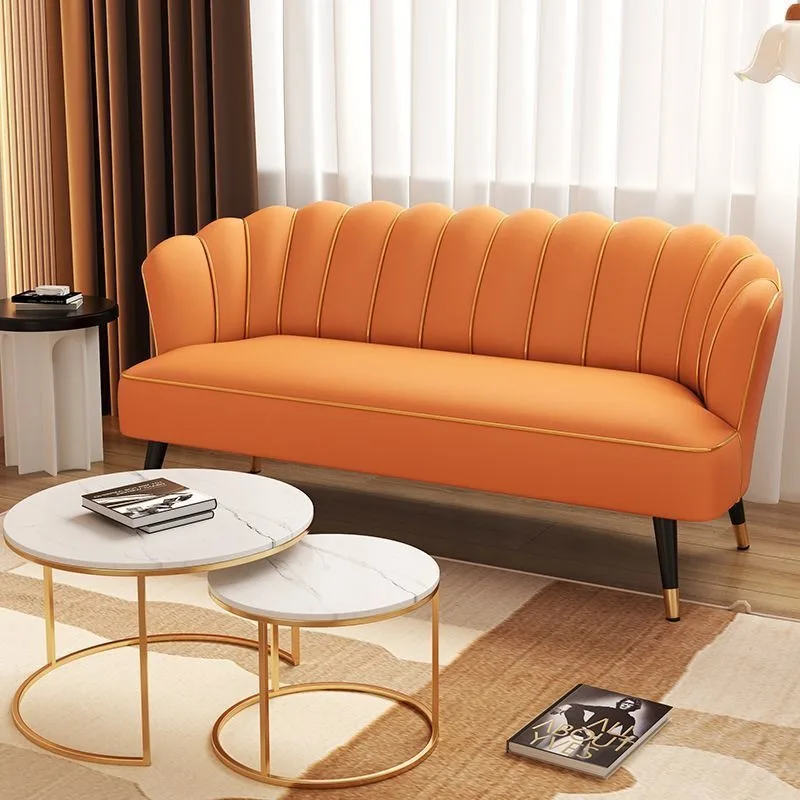 Light luxury small apartment Internet celebrity clothing store sofa, bedroom rental house milk tea shop beauty salon sofa
Light luxury small apartment Internet celebrity clothing store sofa, bedroom rental house milk tea shop beauty salon sofa