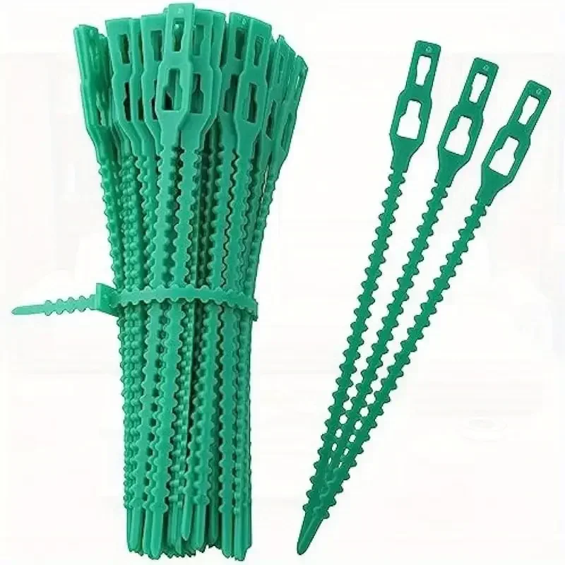 Adjustable Plastic Plant Cable Ties Reusable Self-locking Ties Garden Plant Vine Supports Cable Ties Stem Tomato Clip Fastener
Adjustable Plastic Plant Cable Ties Reusable Self-locking Ties Garden Plant Vine Supports Cable Ties Stem Tomato Clip Fastener