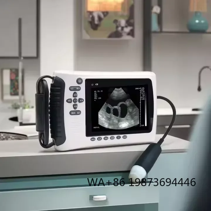 Portable Veterinary Ultrasound Scanner System for Pet Diagnosis
Portable Veterinary Ultrasound Scanner System for Pet Diagnosis