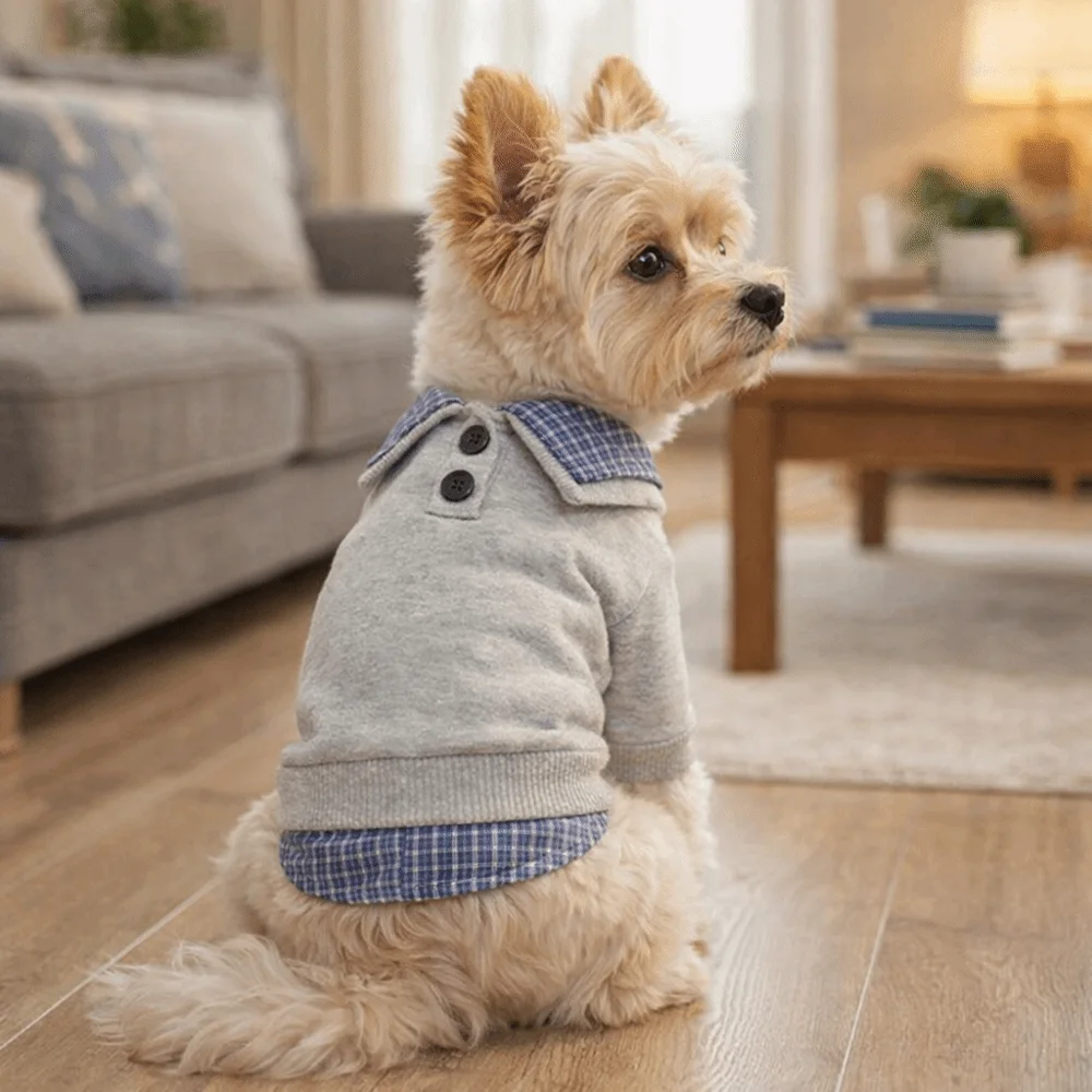 Casual Style Preppy Style Pet Dog Hoodie False Two-piece Breathable Cat Shirt Cozy Soft Two Legs Dog Clothes Small Dogs Cats
Casual Style Preppy Style Pet Dog Hoodie False Two-piece Breathable Cat Shirt Cozy Soft Two Legs Dog Clothes Small Dogs Cats