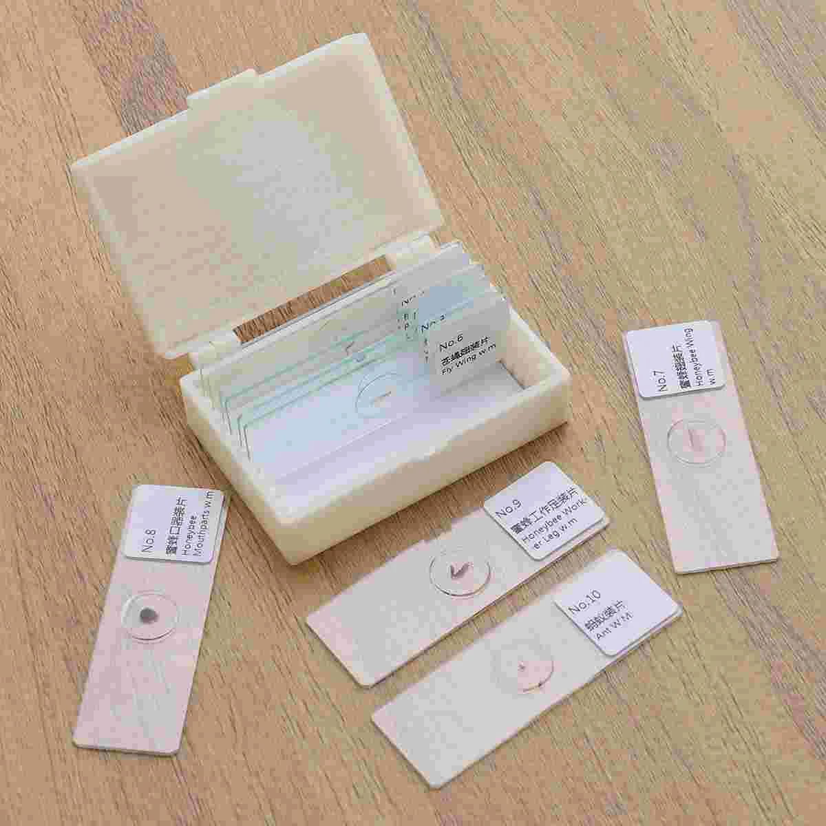 10 PCS/Set Biology Sample Specimens Microscope Prepared Specimens Slides of Insects Plants Animals Glass Shows Samples
10 PCS/Set Biology Sample Specimens Microscope Prepared Specimens Slides of Insects Plants Animals Glass Shows Samples