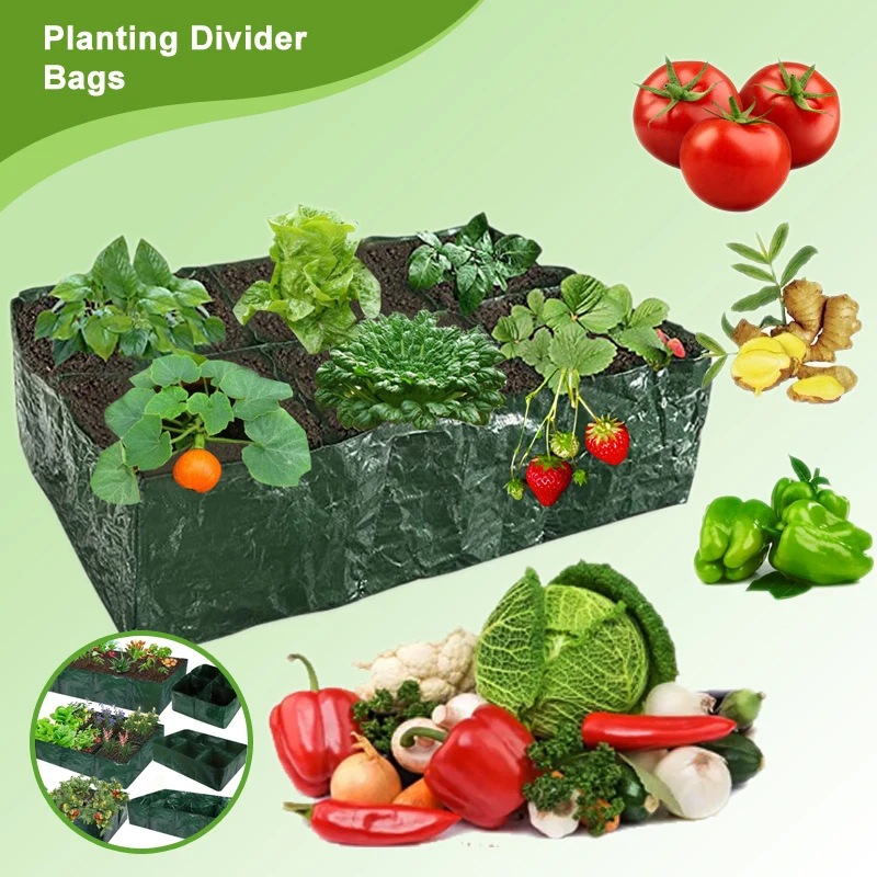 Plant Grown Bag Home Garden Seedlings Pots and Planters Grow Accessories Gardening Tools Greenhouses Large Flowerpot Container
Plant Grown Bag Home Garden Seedlings Pots and Planters Grow Accessories Gardening Tools Greenhouses Large Flowerpot Container