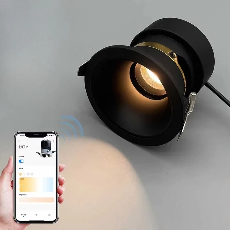 Home Lighting Emitting Diode Ceiling Spotlight Modern Design 2 Channel Dimmers Home office Aluminum Recessed Downlight
Home Lighting Emitting Diode Ceiling Spotlight Modern Design 2 Channel Dimmers Home office Aluminum Recessed Downlight