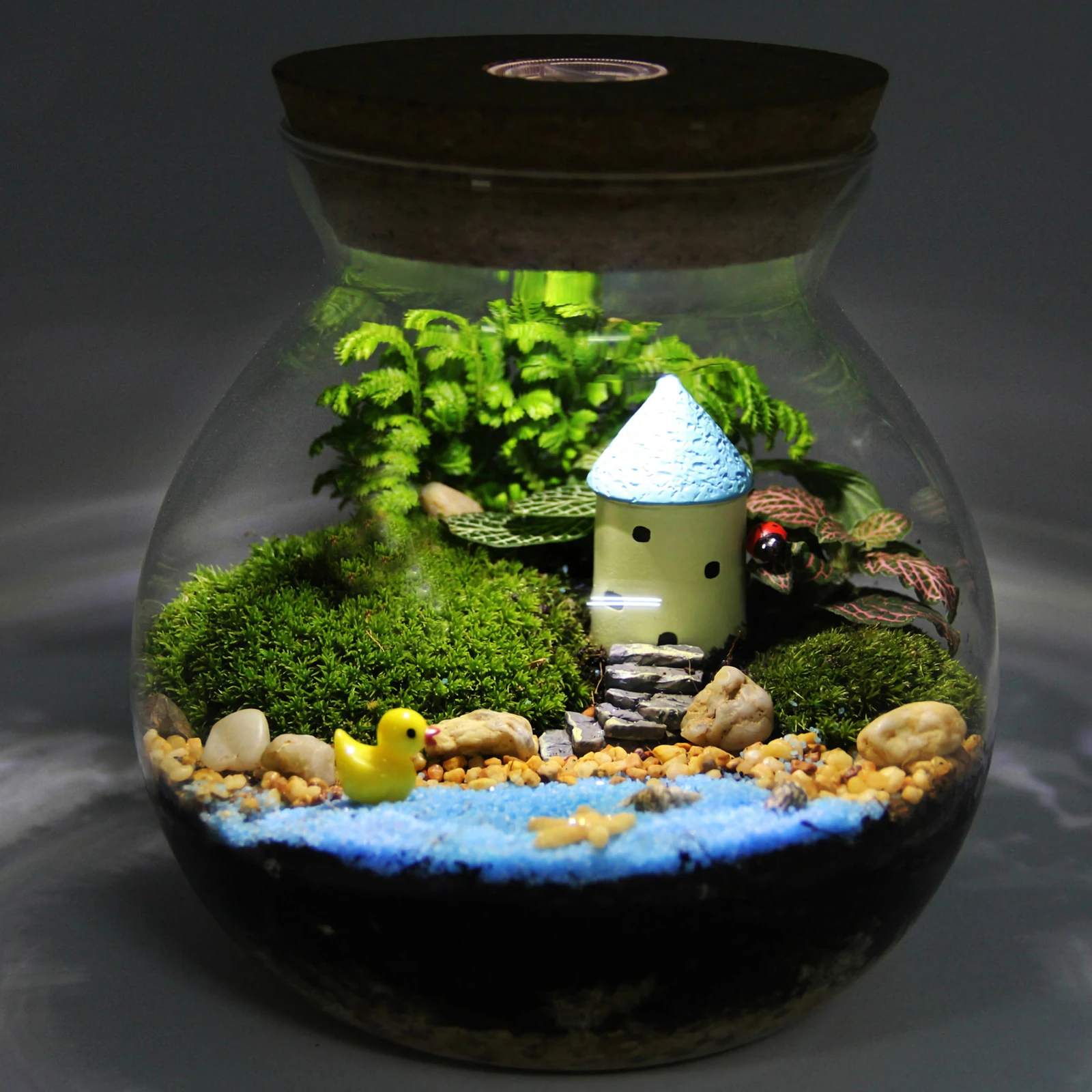 LED Light Ecological Bottle Fish Bowl Glass Tank Ecosphere Beginner Wood Desktop Child
LED Light Ecological Bottle Fish Bowl Glass Tank Ecosphere Beginner Wood Desktop Child