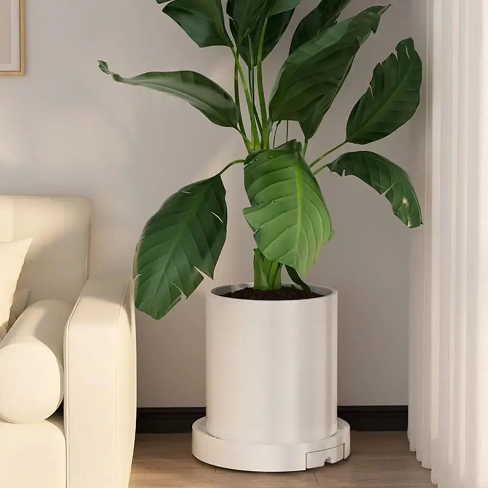 Round Plant Roller Base 4 Thicken Wheels High Load Bearing Flower Pot Mover Breathable Stable Plants Pots Holder Outdoor
Round Plant Roller Base 4 Thicken Wheels High Load Bearing Flower Pot Mover Breathable Stable Plants Pots Holder Outdoor