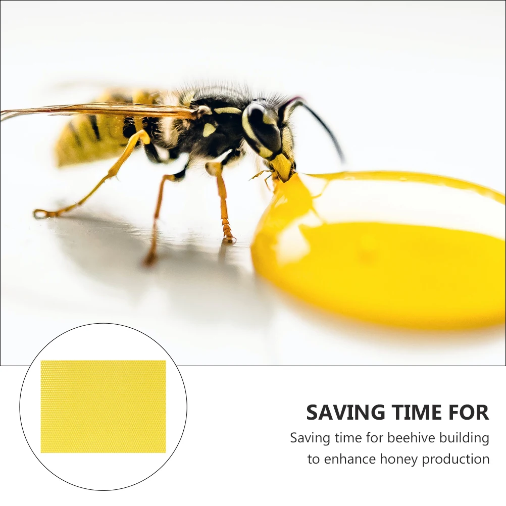 10pcs Waxed Foundation Sheet For Beehive Deep Beeswax Natural Wax Beehive Foundation Hive Accessories Bees Hive Base
10pcs Waxed Foundation Sheet For Beehive Deep Beeswax Natural Wax Beehive Foundation Hive Accessories Bees Hive Base