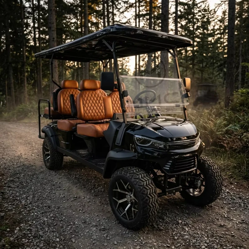 Black 6 Seater Electric Golf Buggy Cart Custom Paint Color Options Comfortable Suspension System for Off Road
Black 6 Seater Electric Golf Buggy Cart Custom Paint Color Options Comfortable Suspension System for Off Road