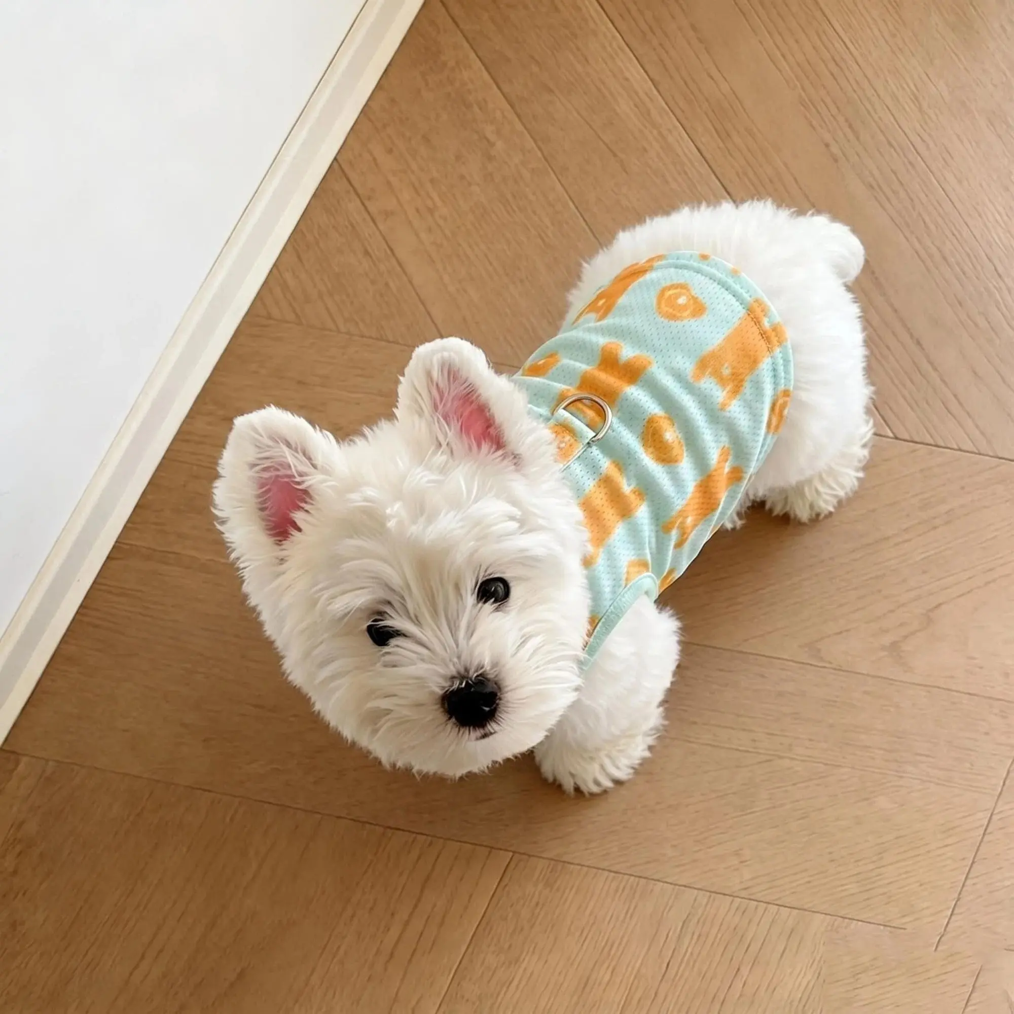 Dog Cooling Vest Summer Sun Protection Sleeveless Thin Ice Feel Cooling Breathable Pet Cat Clothes
Dog Cooling Vest Summer Sun Protection Sleeveless Thin Ice Feel Cooling Breathable Pet Cat Clothes