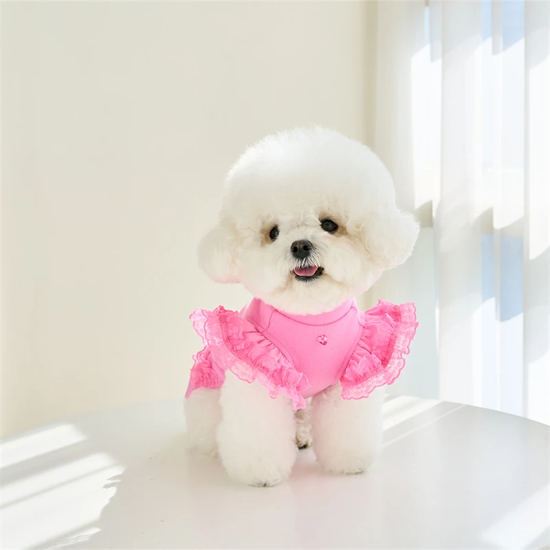 Pink Dog Dresses Puppy Clothes for Small Dog Girls Lace Ruffle Shirt Dress Cat Clothes Dog Girl Birthday Outfits
Pink Dog Dresses Puppy Clothes for Small Dog Girls Lace Ruffle Shirt Dress Cat Clothes Dog Girl Birthday Outfits