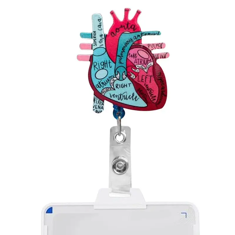 Cardiac Nurse Card Holder Cardiac Name Badge Holder Clip Heart Anatomy Nursing Phlebotomy ID Clip For Teacher Student RN Nurse
Cardiac Nurse Card Holder Cardiac Name Badge Holder Clip Heart Anatomy Nursing Phlebotomy ID Clip For Teacher Student RN Nurse