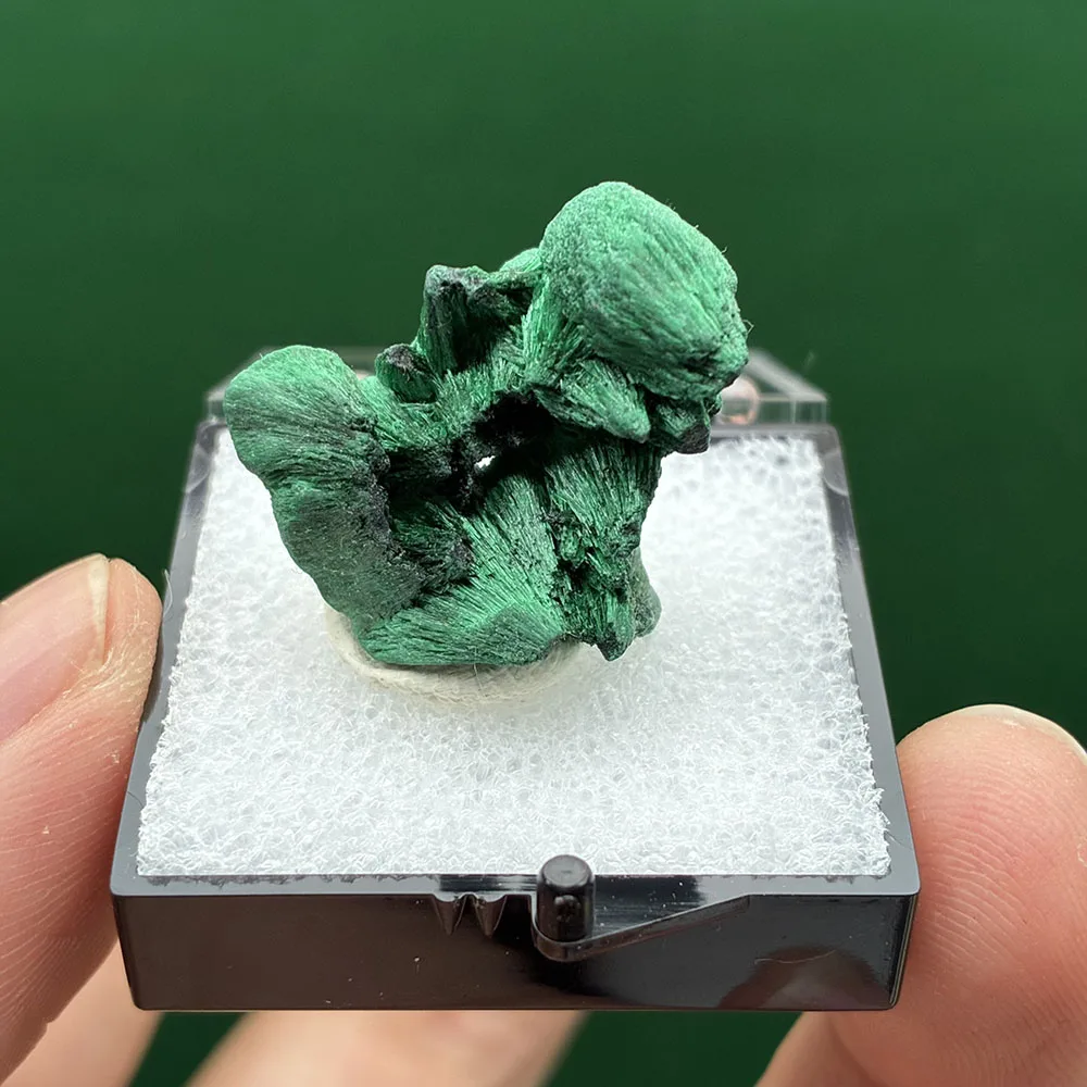 A1-2E Natural Stone Malachite Mineral Crystal Specimen Home Decoration Teaching specimen Box size:35*35*35 mm
A1-2E Natural Stone Malachite Mineral Crystal Specimen Home Decoration Teaching specimen Box size:35*35*35 mm