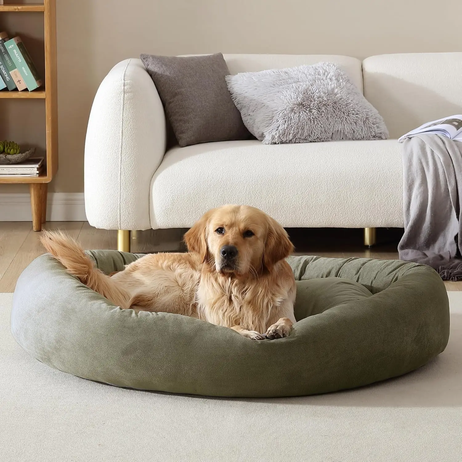 Ar Orthopedic Memory Foam Dog Bed - Premium, Durable, Washable, And Easy To Clean Fabric, Pet Bed For Large And Extra Large
Ar Orthopedic Memory Foam Dog Bed - Premium, Durable, Washable, And Easy To Clean Fabric, Pet Bed For Large And Extra Large