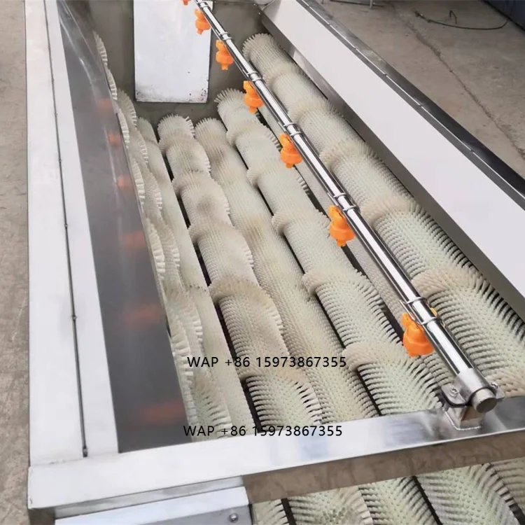 Commercial Automatic Electric Vegetable Cleaning Washer Peanut Washing Potato Drum Washing Machine
Commercial Automatic Electric Vegetable Cleaning Washer Peanut Washing Potato Drum Washing Machine