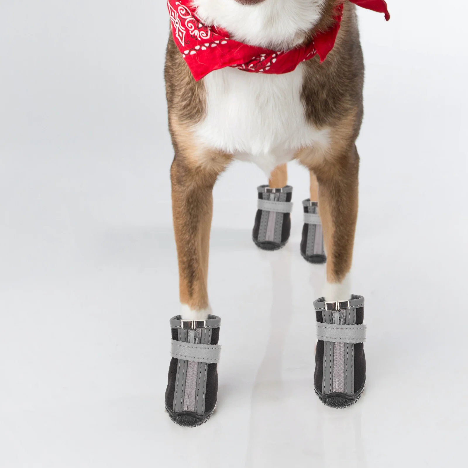 4 Pcs Waterproof Dog Booties Water-resistant Boots Shoes for Dogs Small Pet Short
4 Pcs Waterproof Dog Booties Water-resistant Boots Shoes for Dogs Small Pet Short
