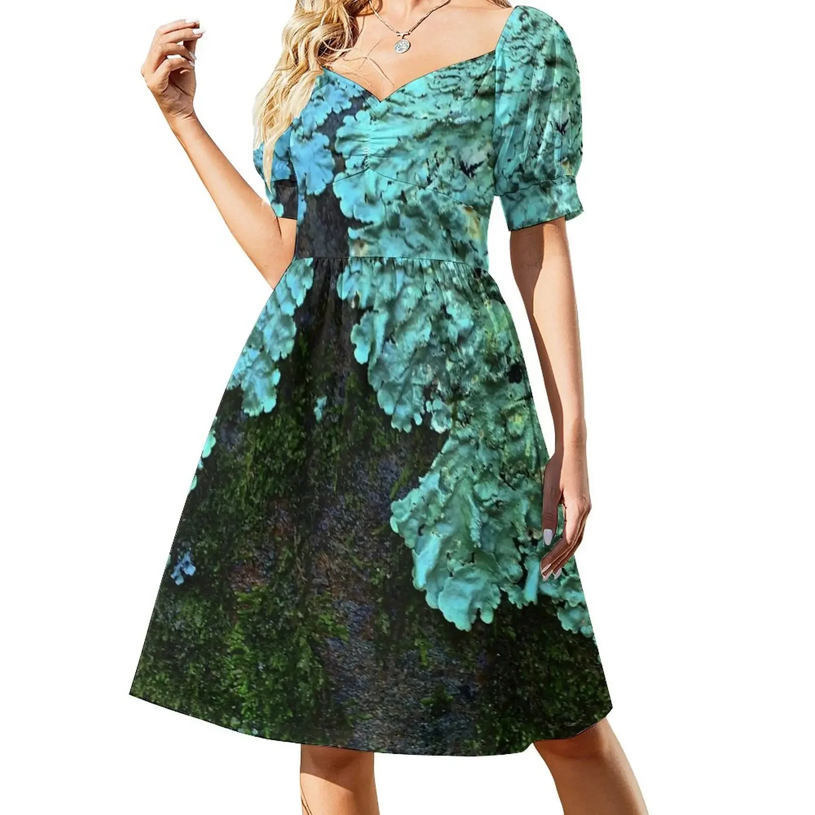 Shield Lichens Short-Sleeved Dress elegant women's dresses for wedding summer dress woman 2025 trendy women's summer dress 2025
Shield Lichens Short-Sleeved Dress elegant women's dresses for wedding summer dress woman 2025 trendy women's summer dress 2025