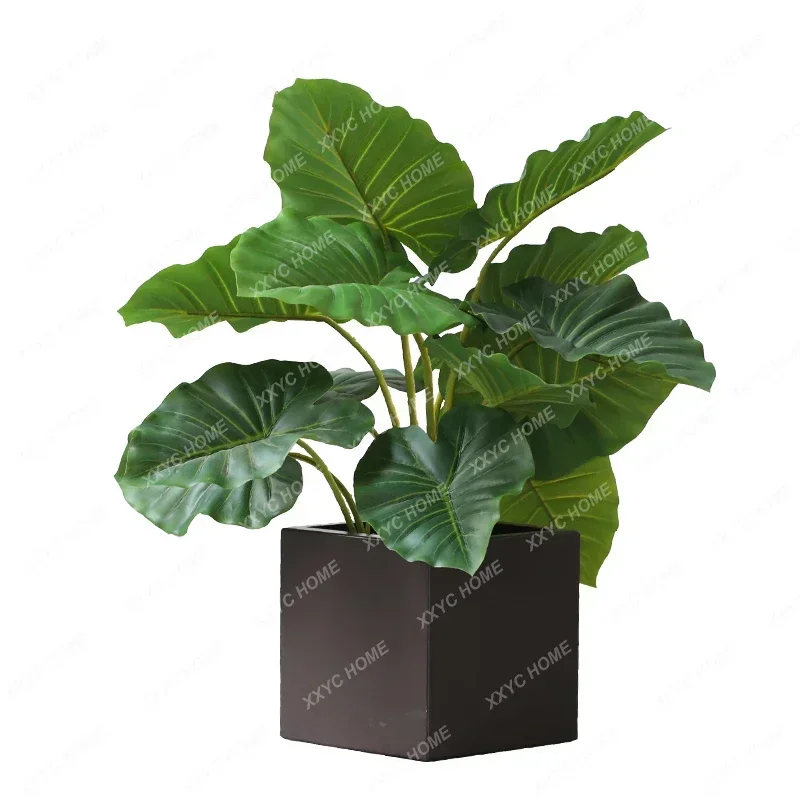Simulation Greenery Bonsai Alocasia Macrorrhiza Artificial Plant Pot home decoration artificial plants
Simulation Greenery Bonsai Alocasia Macrorrhiza Artificial Plant Pot home decoration artificial plants
