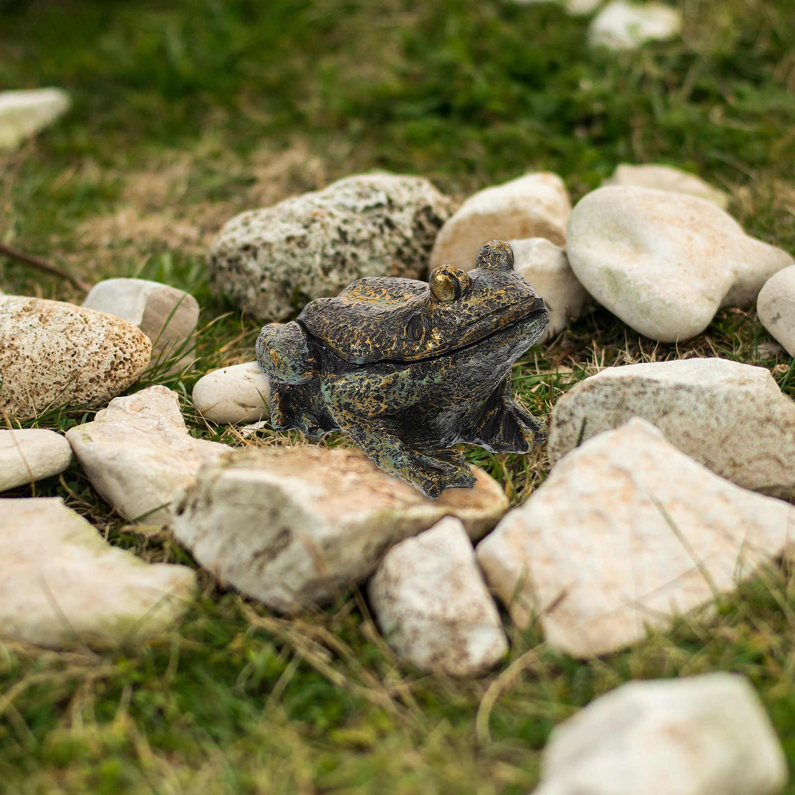 Key Hider Yard Resin Fake Frog Garden Outdoor Storage Box Holder Safe Garden Fake Frog Spare Keys Storage Case
Key Hider Yard Resin Fake Frog Garden Outdoor Storage Box Holder Safe Garden Fake Frog Spare Keys Storage Case
