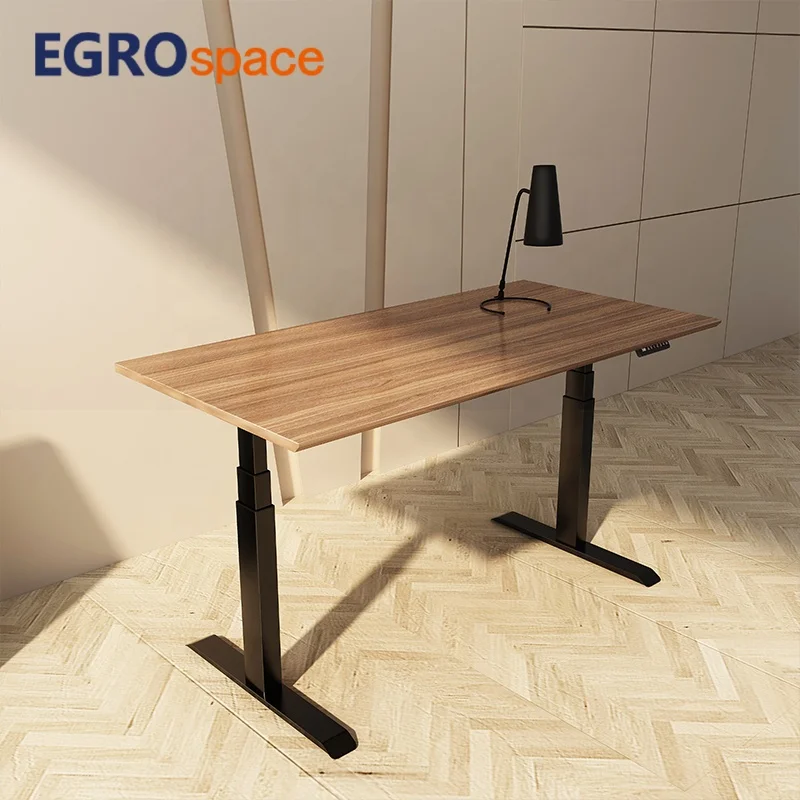 Lift Standing Electrically Adjustable Adjust Dual Motor Executive Office Desk
Lift Standing Electrically Adjustable Adjust Dual Motor Executive Office Desk