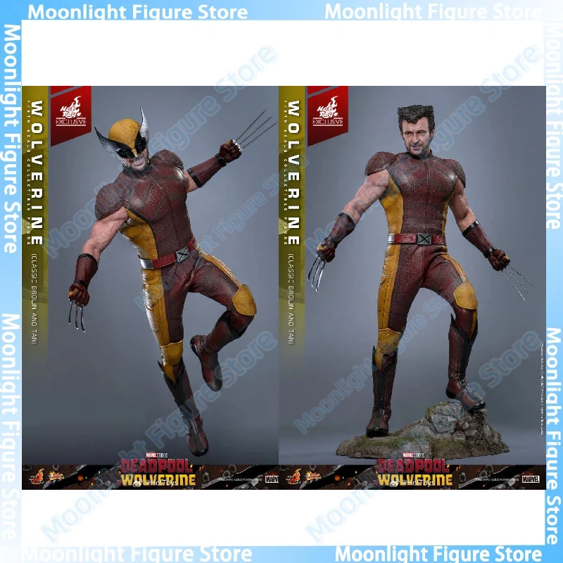 In Stock HotToys MMS831 Wolverine Classic Brown and Tan 1/6 Soldier Figure Animation Action Figure Toy Gift Model Collection
In Stock HotToys MMS831 Wolverine Classic Brown and Tan 1/6 Soldier Figure Animation Action Figure Toy Gift Model Collection