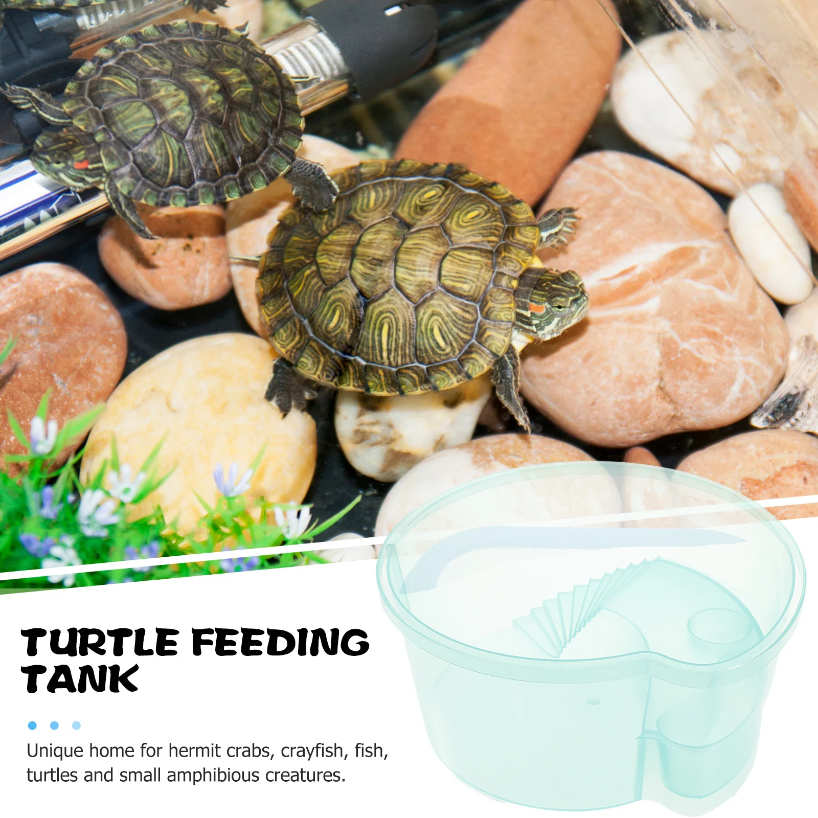 Sturdy Leak-Proof Plastic Tank Integrated Basking Habitat Aquarium Container Fish Farming Reptile Safe Environment Turtle
Sturdy Leak-Proof Plastic Tank Integrated Basking Habitat Aquarium Container Fish Farming Reptile Safe Environment Turtle
