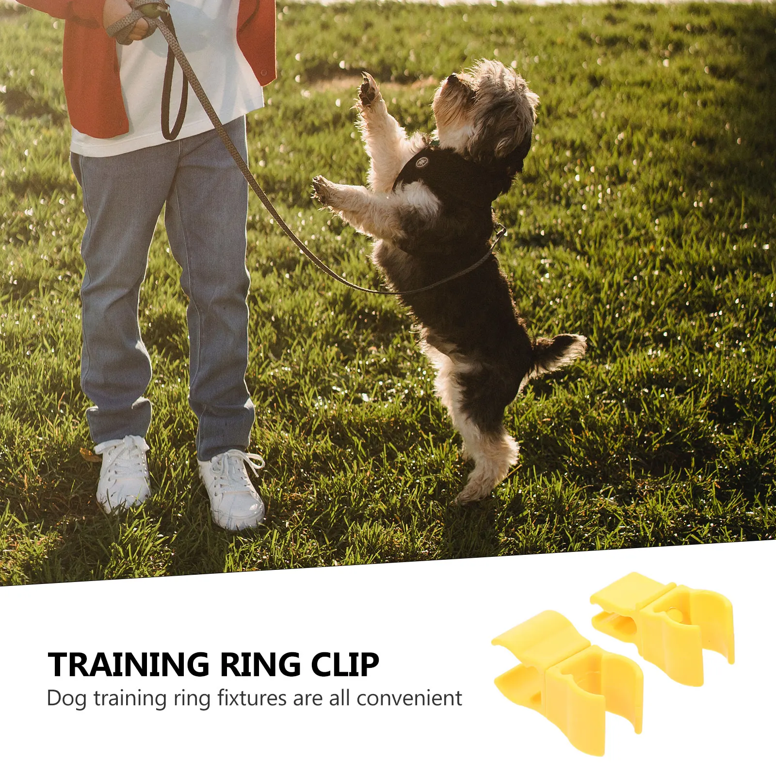 10pcs Football Door Connection Clips Wicker Anti-Slip Fasteners Easy Install Durable Outdoor Sports Equipment Dog Training Ring
10pcs Football Door Connection Clips Wicker Anti-Slip Fasteners Easy Install Durable Outdoor Sports Equipment Dog Training Ring
