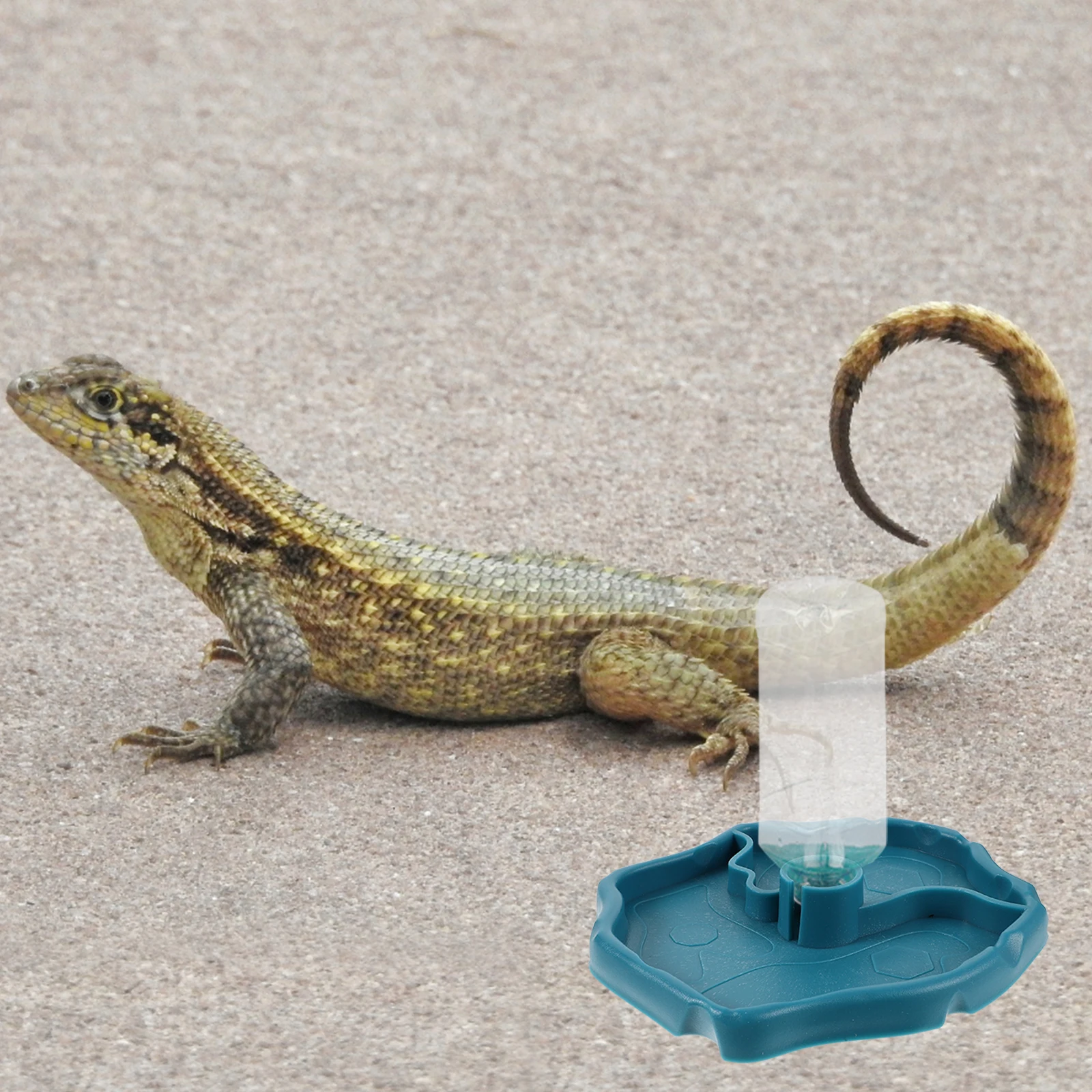 Automatic Pet Fountain Durable Plastic Water Bowl 2 in 1 Food Plate Feeder for Dogs Cats Tortoises Lizards Easy Clean
Automatic Pet Fountain Durable Plastic Water Bowl 2 in 1 Food Plate Feeder for Dogs Cats Tortoises Lizards Easy Clean