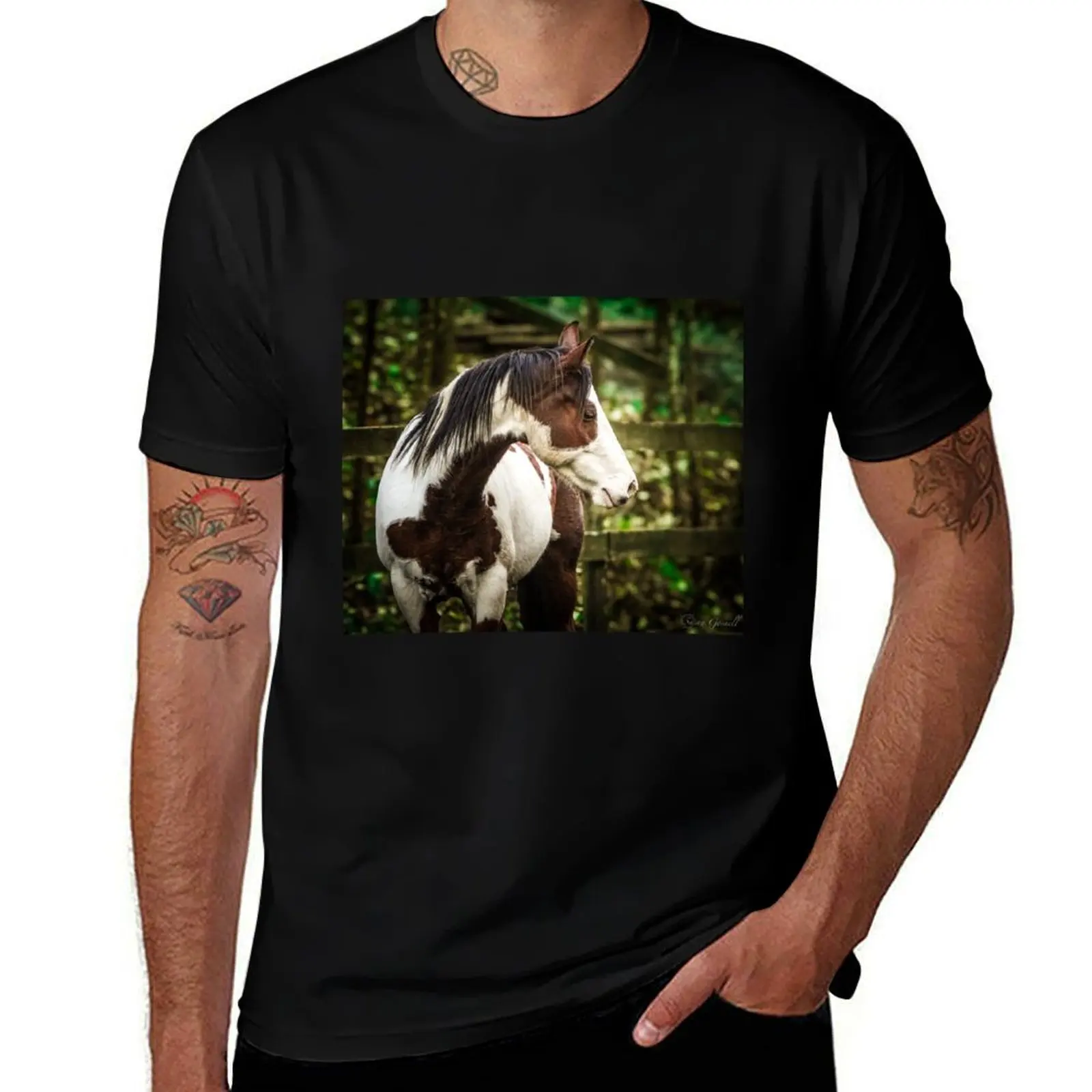 Stunning Pinto T-Shirt customs anime tshirt vintage graphic tee animal prinfor boys oversized t shirt men
Stunning Pinto T-Shirt customs anime tshirt vintage graphic tee animal prinfor boys oversized t shirt men