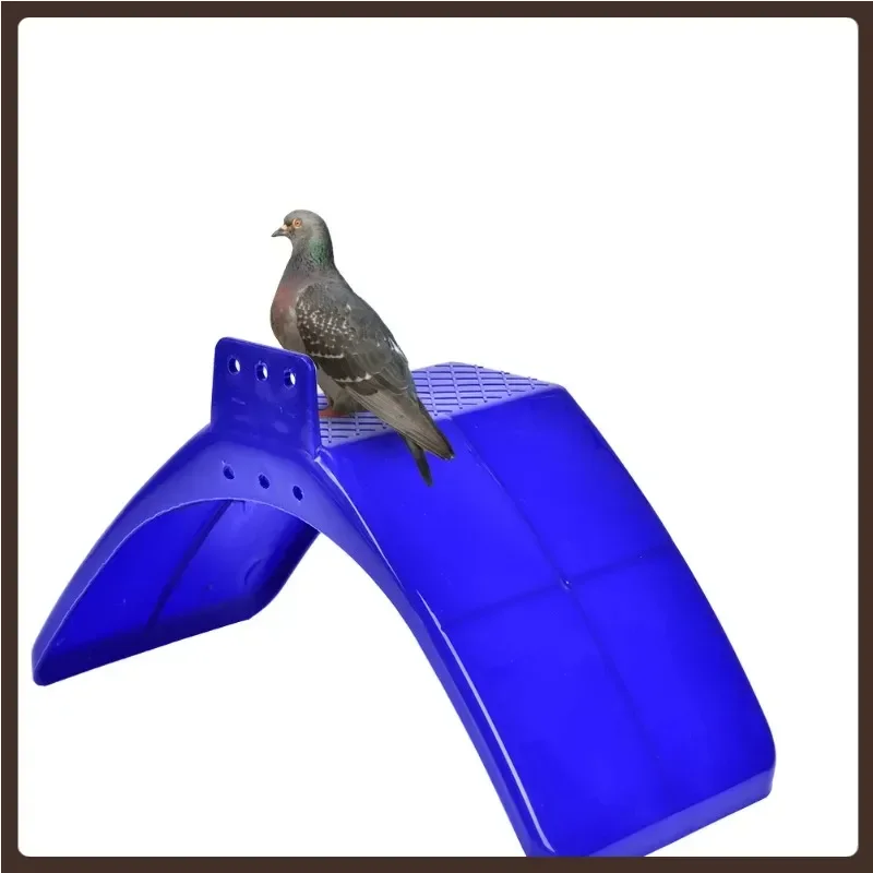 5PCS Frost and Heat Resisting and Long Service Life V Pigeon Bird Pet Roost Bird Equipment Racing Pigeon Stand Rest Stand
5PCS Frost and Heat Resisting and Long Service Life V Pigeon Bird Pet Roost Bird Equipment Racing Pigeon Stand Rest Stand