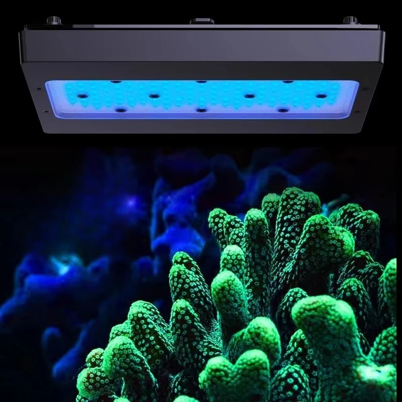 II 215W Full Spectrum WiFi Programable Saltwater Coral Reef LED Aquarium Light Similar With Bracket
II 215W Full Spectrum WiFi Programable Saltwater Coral Reef LED Aquarium Light Similar With Bracket