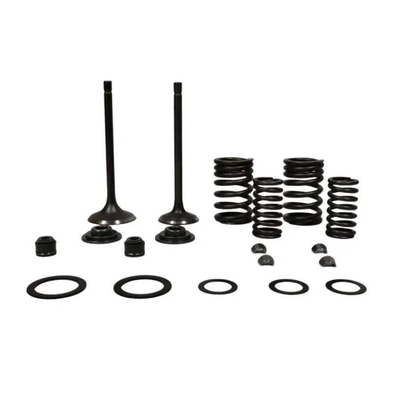 Выпускные клапаны мотоцикла, уплотнитель впускного стержня, пружинный комплект для Honda Recon 250 TRX 250 2002-2023 Sportrax 250 TRX250EX TRX250X
Выпускные клапаны мотоцикла, уплотнитель впускного стержня, пружинный комплект для Honda Recon 250 TRX 250 2002-2023 Sportrax 250 TRX250EX TRX250X