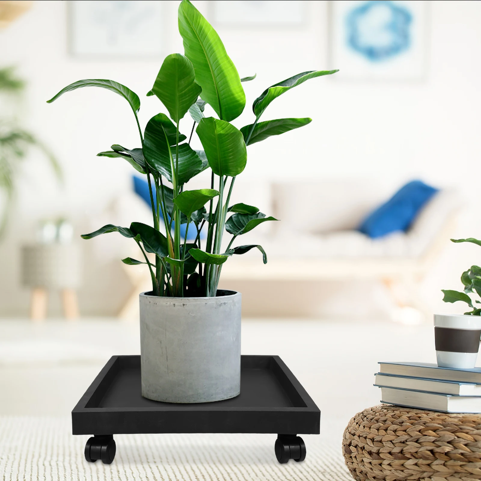 Flower Pot Tray with Wheels for Large Pots Plants Stand Balcony Rolling Caster Bracket Heavy Duty Eco Friendly Durable Suitable
Flower Pot Tray with Wheels for Large Pots Plants Stand Balcony Rolling Caster Bracket Heavy Duty Eco Friendly Durable Suitable