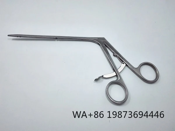 Professional Arthroscopic Alligator Forceps, Reusable Orthopedic Instrument
Professional Arthroscopic Alligator Forceps, Reusable Orthopedic Instrument
