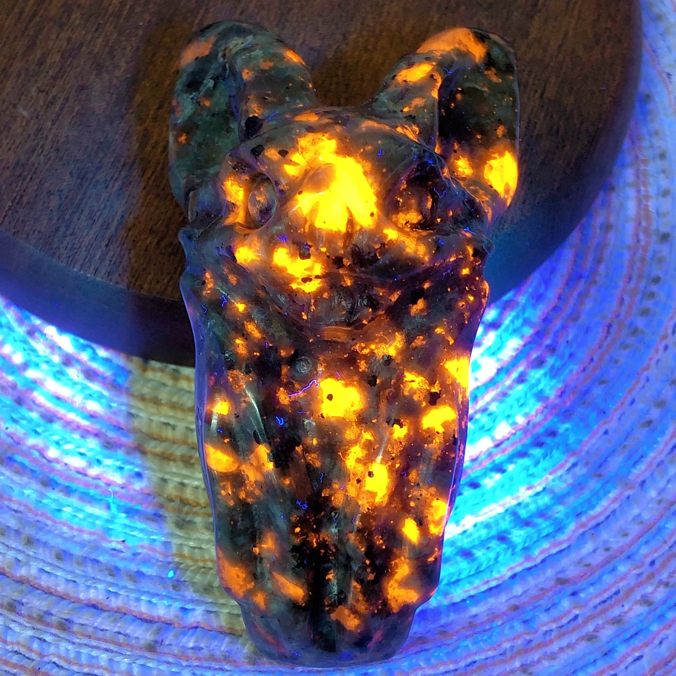 Natural Crystal Yooperlite Bats Cute Gift Suprise Carving Animal Witchcraft UV Light Reactive Energy Wholesale Reiki Mineral Ore
Natural Crystal Yooperlite Bats Cute Gift Suprise Carving Animal Witchcraft UV Light Reactive Energy Wholesale Reiki Mineral Ore