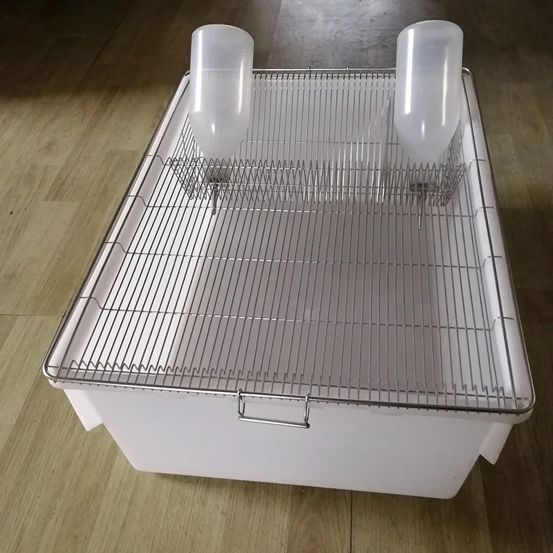 High Quality Plastic Customized Size Rat Mouse Breeding Cage Laboratory With Two Bottle and Feeder Basket
High Quality Plastic Customized Size Rat Mouse Breeding Cage Laboratory With Two Bottle and Feeder Basket
