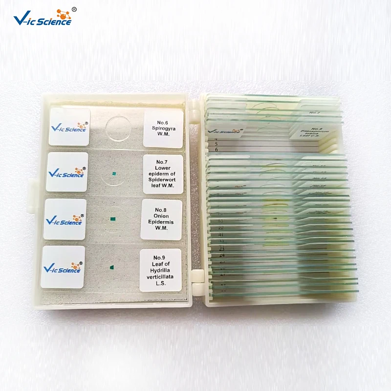 30 Kinds Prepared Microscope Slides, Mixed Biology Specimen Set Plant Animal Microorganism for Student Lab Teaching Education
30 Kinds Prepared Microscope Slides, Mixed Biology Specimen Set Plant Animal Microorganism for Student Lab Teaching Education