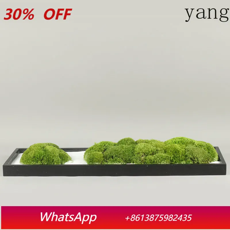 LH New Chinese immortal moss bonsai desktop floral decoration marble
LH New Chinese immortal moss bonsai desktop floral decoration marble