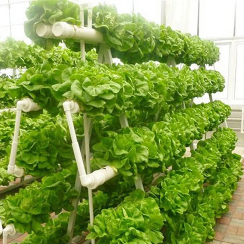 Pipeline Type Hydroponic Plng Rack Home Soills Cultiion Vegetle Equipment Automatic Circulation Double-Sided Hydropon
Pipeline Type Hydroponic Plng Rack Home Soills Cultiion Vegetle Equipment Automatic Circulation Double-Sided Hydropon
