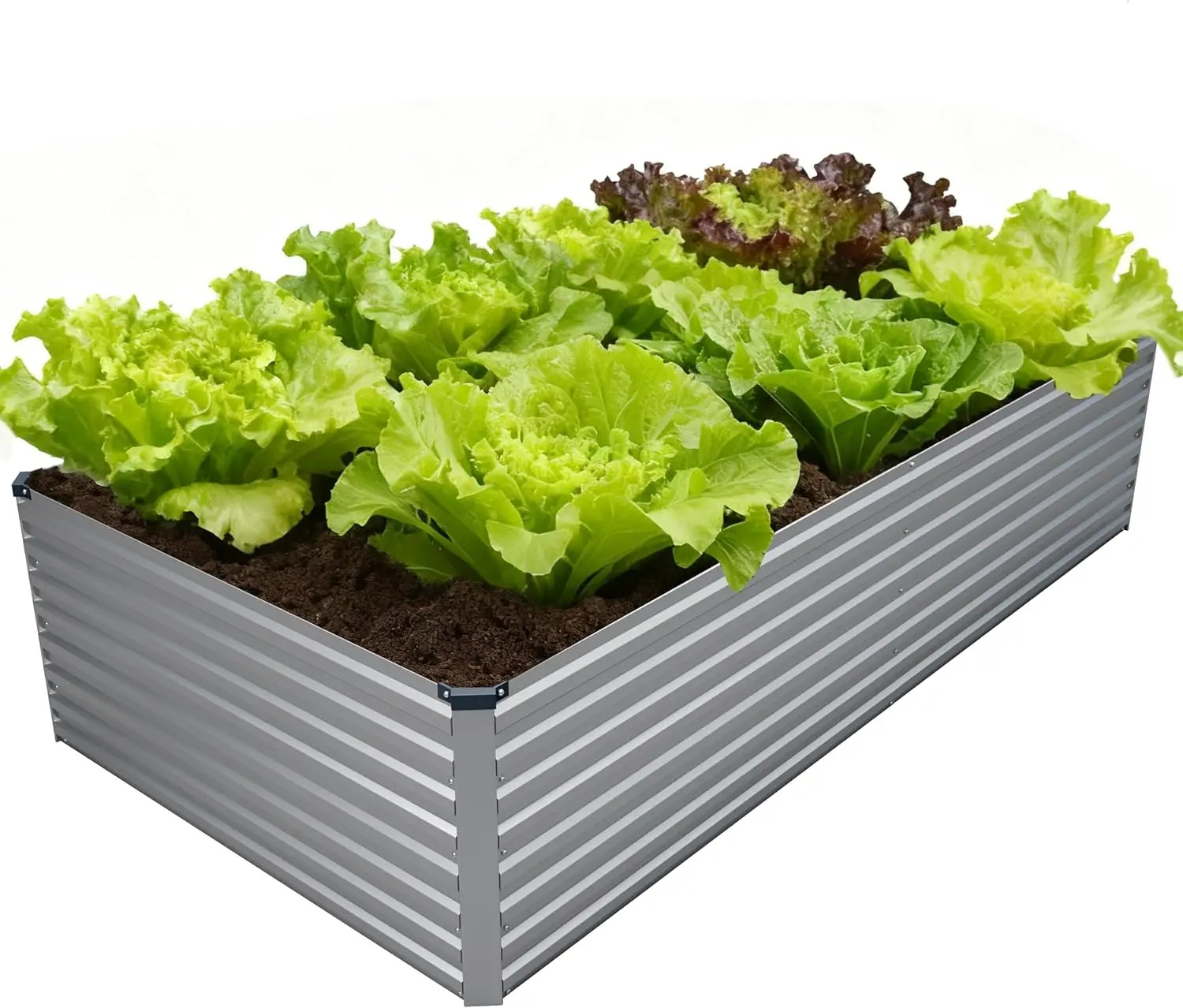 8x4x2FT Galvanized Raised Garden Bed Kit, Metal Planter Box for Vegetables, Herbs, Flowers - Sliver
8x4x2FT Galvanized Raised Garden Bed Kit, Metal Planter Box for Vegetables, Herbs, Flowers - Sliver
