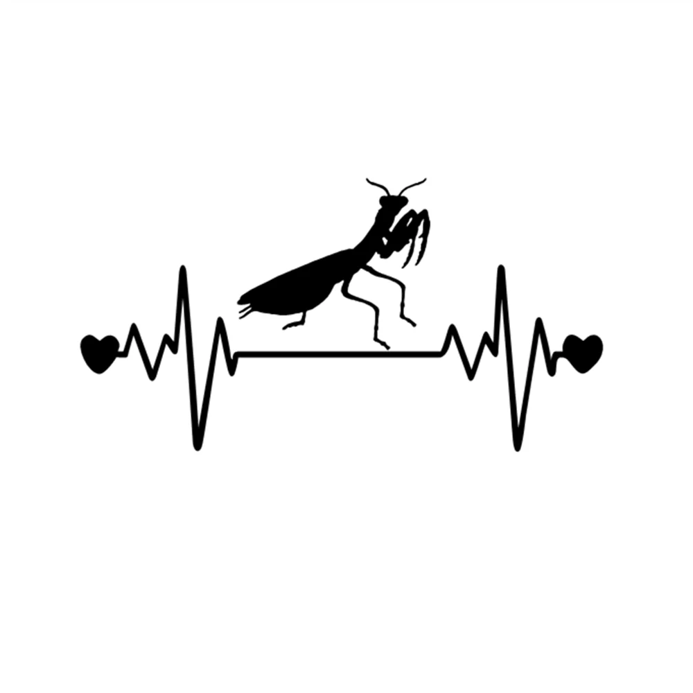 14.3X7.5CM Praying Mantis Lifeline Heartbeat Vinyl Car Decal, Animal Insect Theme Sticker for Auto Truck SUV Motorcycle
14.3X7.5CM Praying Mantis Lifeline Heartbeat Vinyl Car Decal, Animal Insect Theme Sticker for Auto Truck SUV Motorcycle