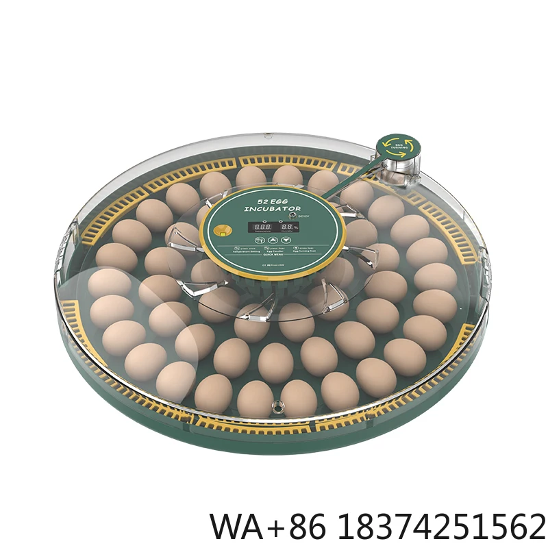 WONEGG Automatic 52H Egg Incubator Dual Power Hatching Machine Controller for Sale
WONEGG Automatic 52H Egg Incubator Dual Power Hatching Machine Controller for Sale