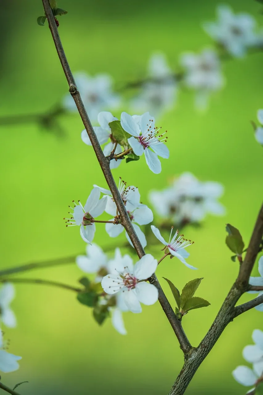 HOTA F6 Ultra 4-Channel Smart Charger 1000W Built-in Power 1-6S LiPo LiHV Li-ion for Laptop FPV Drone RC Battery
HOTA F6 Ultra 4-Channel Smart Charger 1000W Built-in Power 1-6S LiPo LiHV Li-ion for Laptop FPV Drone RC Battery