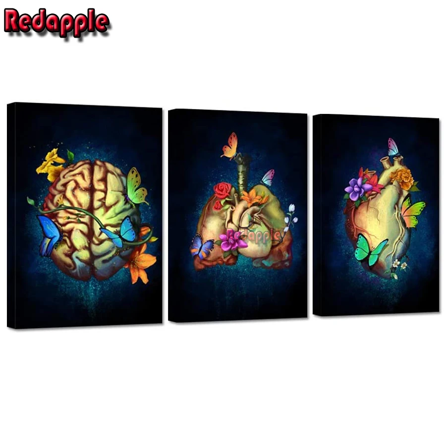 3 Pieces Human Anatomy Set diamond painting rhinestone embroidery 5d mosaic cross stitch kits abstract butterfly hospital decor
3 Pieces Human Anatomy Set diamond painting rhinestone embroidery 5d mosaic cross stitch kits abstract butterfly hospital decor