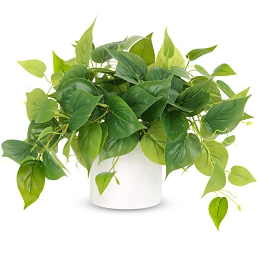 Faux Plants Indoor, Pothos Small Fake Plants for Home Decor Indoor Fake Potted Plant Artificial Plants for Living Room Shelf Ho
Faux Plants Indoor, Pothos Small Fake Plants for Home Decor Indoor Fake Potted Plant Artificial Plants for Living Room Shelf Ho
