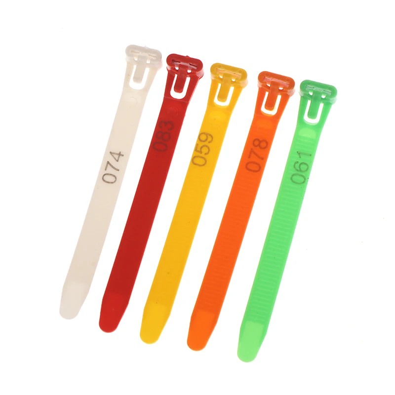 50/100Pcs Adjustable Chicken Foot Rings 5 Color Chicken Poultry Reusable Flexible Retractable Foot Straps Poultry Marking Cards
50/100Pcs Adjustable Chicken Foot Rings 5 Color Chicken Poultry Reusable Flexible Retractable Foot Straps Poultry Marking Cards