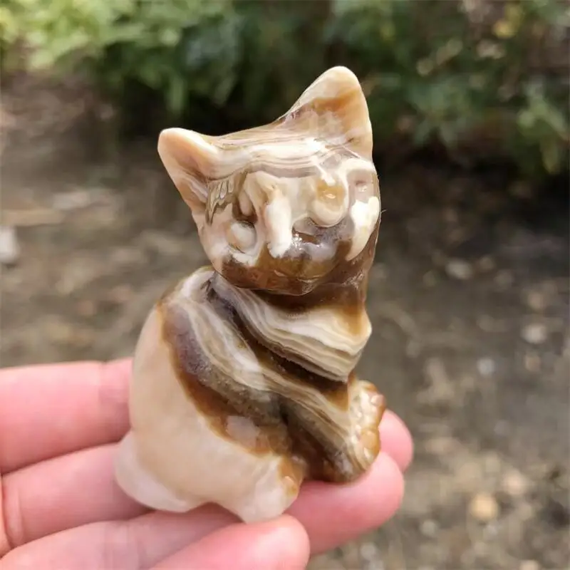 Natural Calcite Agate Cartoon Cat Carving Reiki Healing Fengshui Crafts Home Decoration Cute Holiday Gifts 1pcs
Natural Calcite Agate Cartoon Cat Carving Reiki Healing Fengshui Crafts Home Decoration Cute Holiday Gifts 1pcs