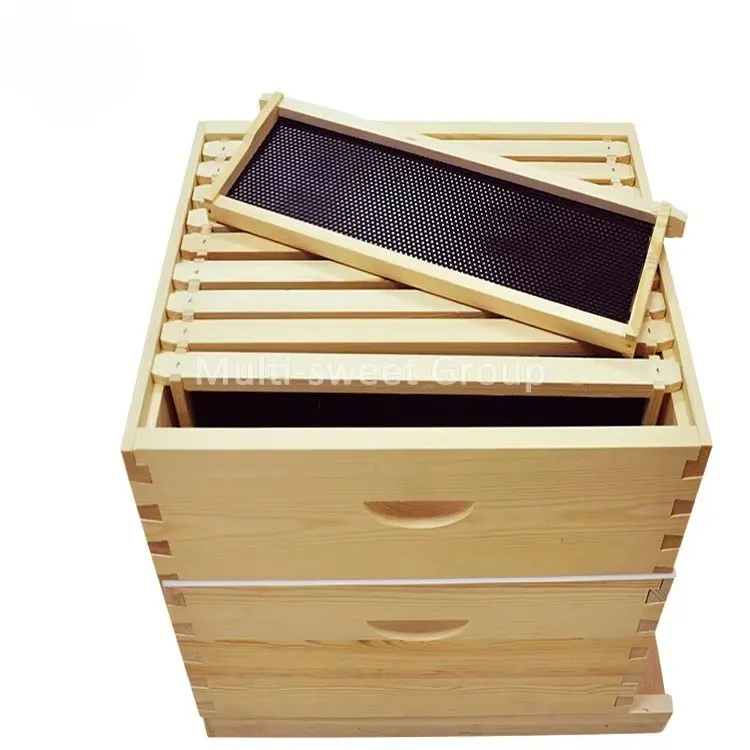 Whole Set 10 Frames Bee Hives Wooden Langstroth Beehive Kit
Whole Set 10 Frames Bee Hives Wooden Langstroth Beehive Kit