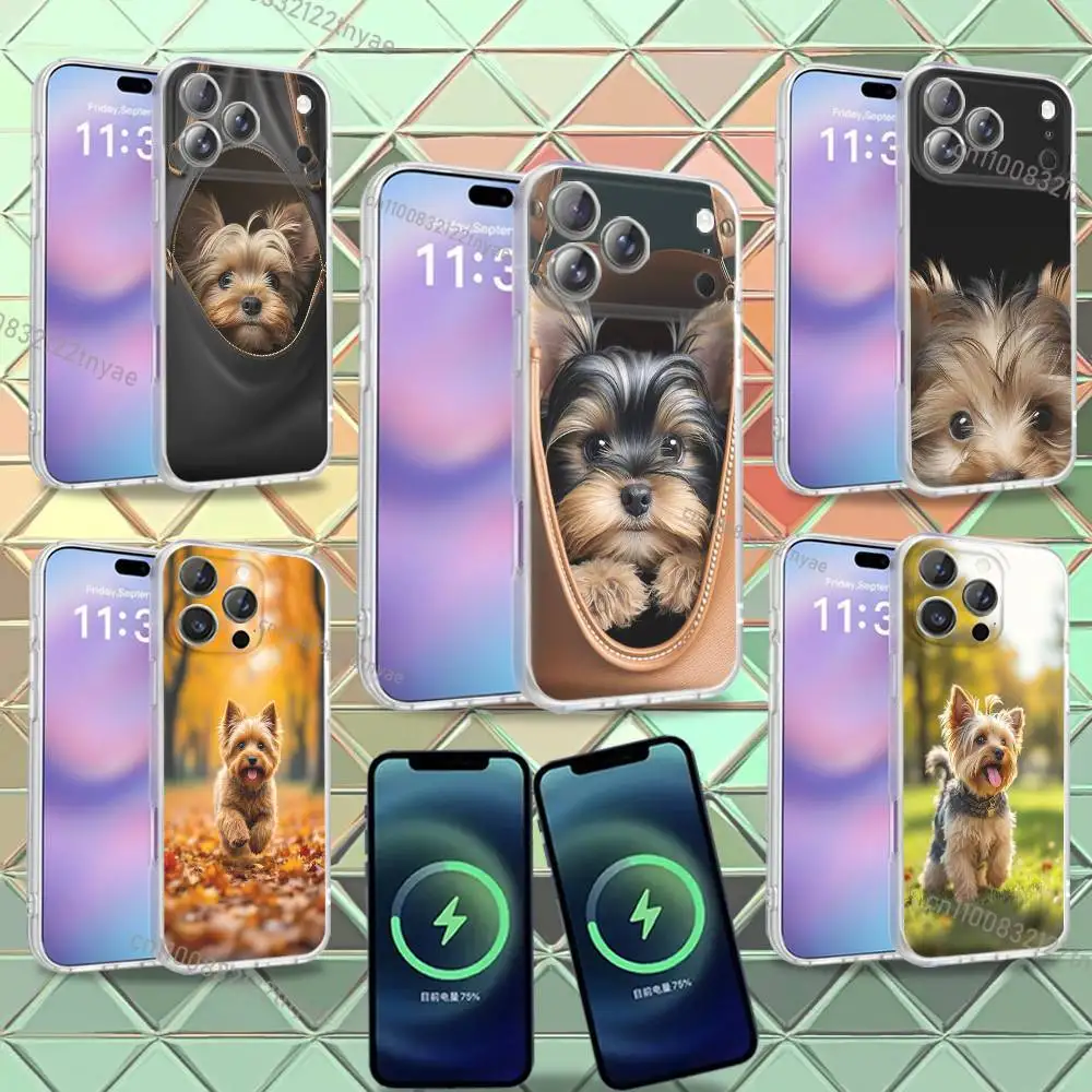 Yorkshire Terrier Dog Phone Case For iPhone 16,14,11,17,13,15,12,Air,Plus,Pro,Max,E,Mini Frosted for MagSafe Magnetic
Yorkshire Terrier Dog Phone Case For iPhone 16,14,11,17,13,15,12,Air,Plus,Pro,Max,E,Mini Frosted for MagSafe Magnetic