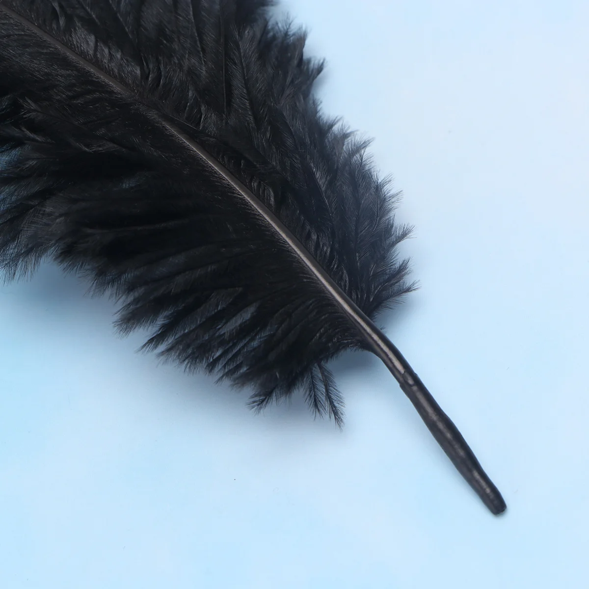 6Pcs Ostrich Natural Authentic Decorative DIY Craft Supplies for Wedding Party Home Mask Accessories Decoration
6Pcs Ostrich Natural Authentic Decorative DIY Craft Supplies for Wedding Party Home Mask Accessories Decoration