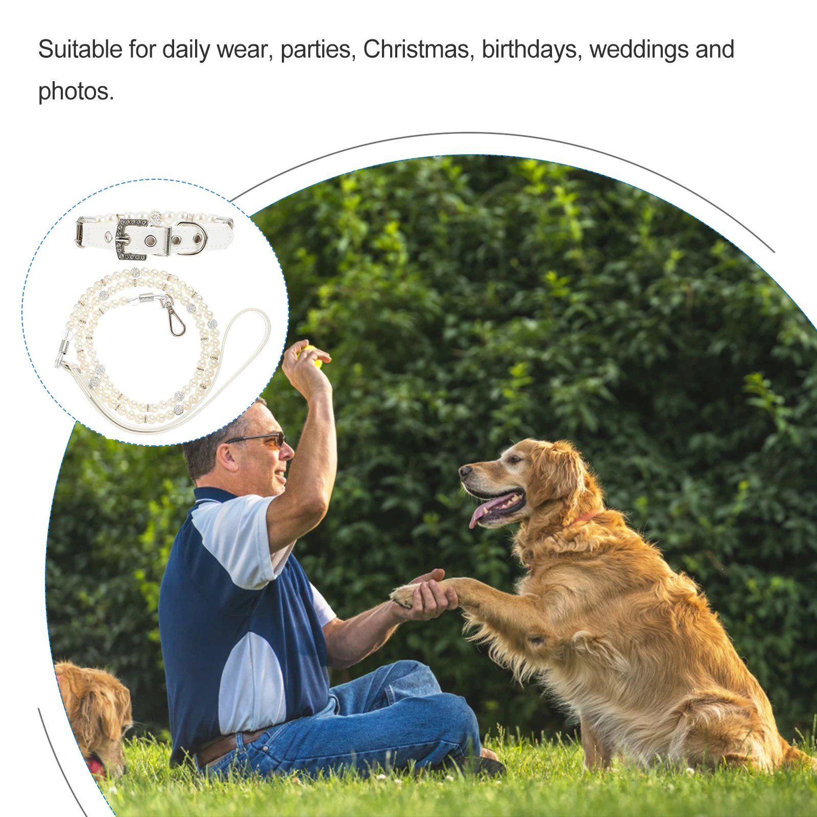 2pcs Pet Dog Collar Rhinestone Pearl Adjustable Small Medium Dogs PU Traction Rope Leash Christmas Photos Pet Neckwear Dog 
2pcs Pet Dog Collar Rhinestone Pearl Adjustable Small Medium Dogs PU Traction Rope Leash Christmas Photos Pet Neckwear Dog