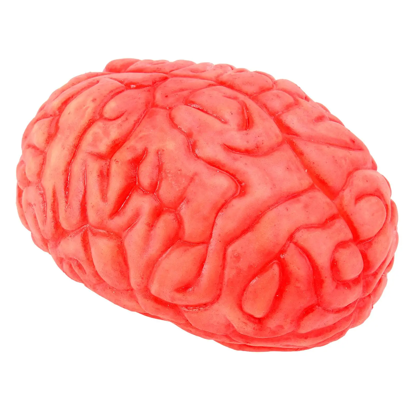 Life Size Realistic Human Brain Props Scary Squeeze Effect Halloween Party Decorations Fake Body Parts Rubber Latex Stage
Life Size Realistic Human Brain Props Scary Squeeze Effect Halloween Party Decorations Fake Body Parts Rubber Latex Stage